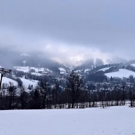 Sylva Rokytnice nad Jizerou